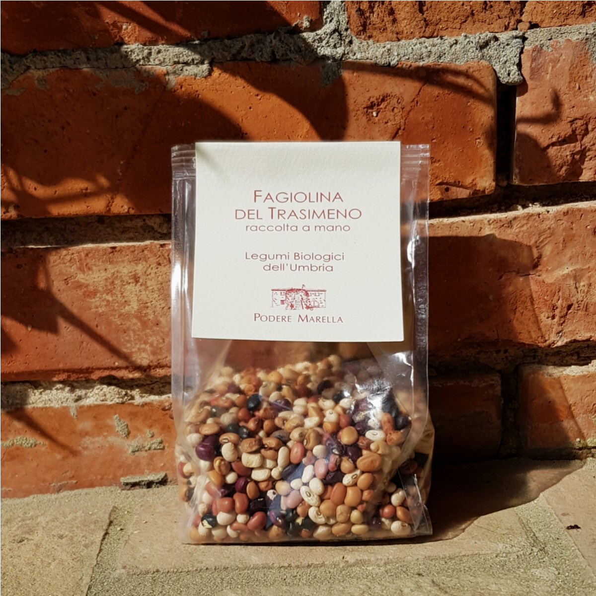 Fagiolina del Lago Podere Marella 1200x1200